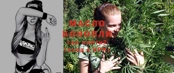 индика Алапаевск