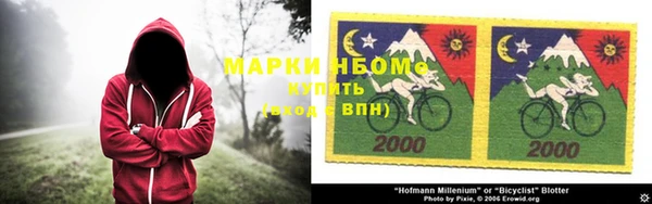 стаф Осташков