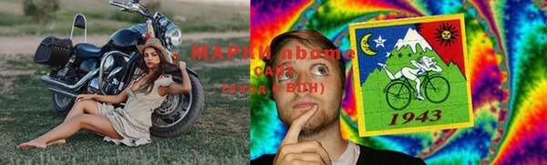 стаф Осташков