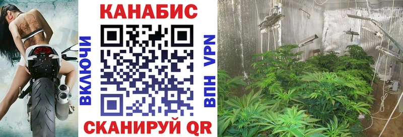 Шишки марихуана White Widow  Калач 